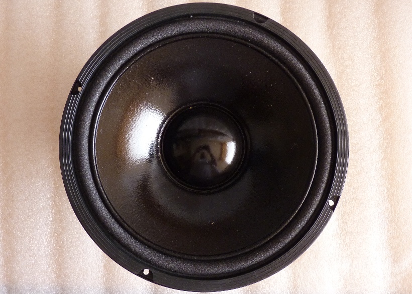 Audio Drive REL Speaker Replacement image 4