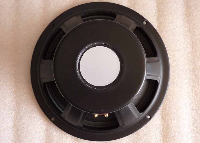 Audio Drive REL Speaker Replacement image 5